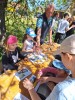 2026-05-03_13.59.29.jpg